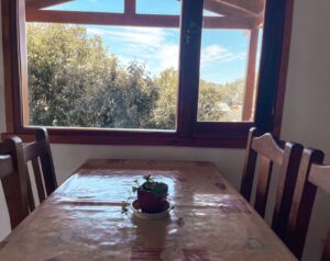 WhatsApp Image 2022-12-06 at 16.08.06